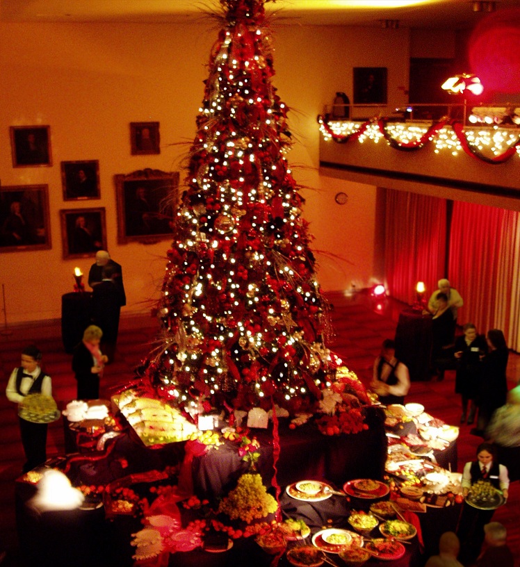 Designer Christmas Trees Image Gallery